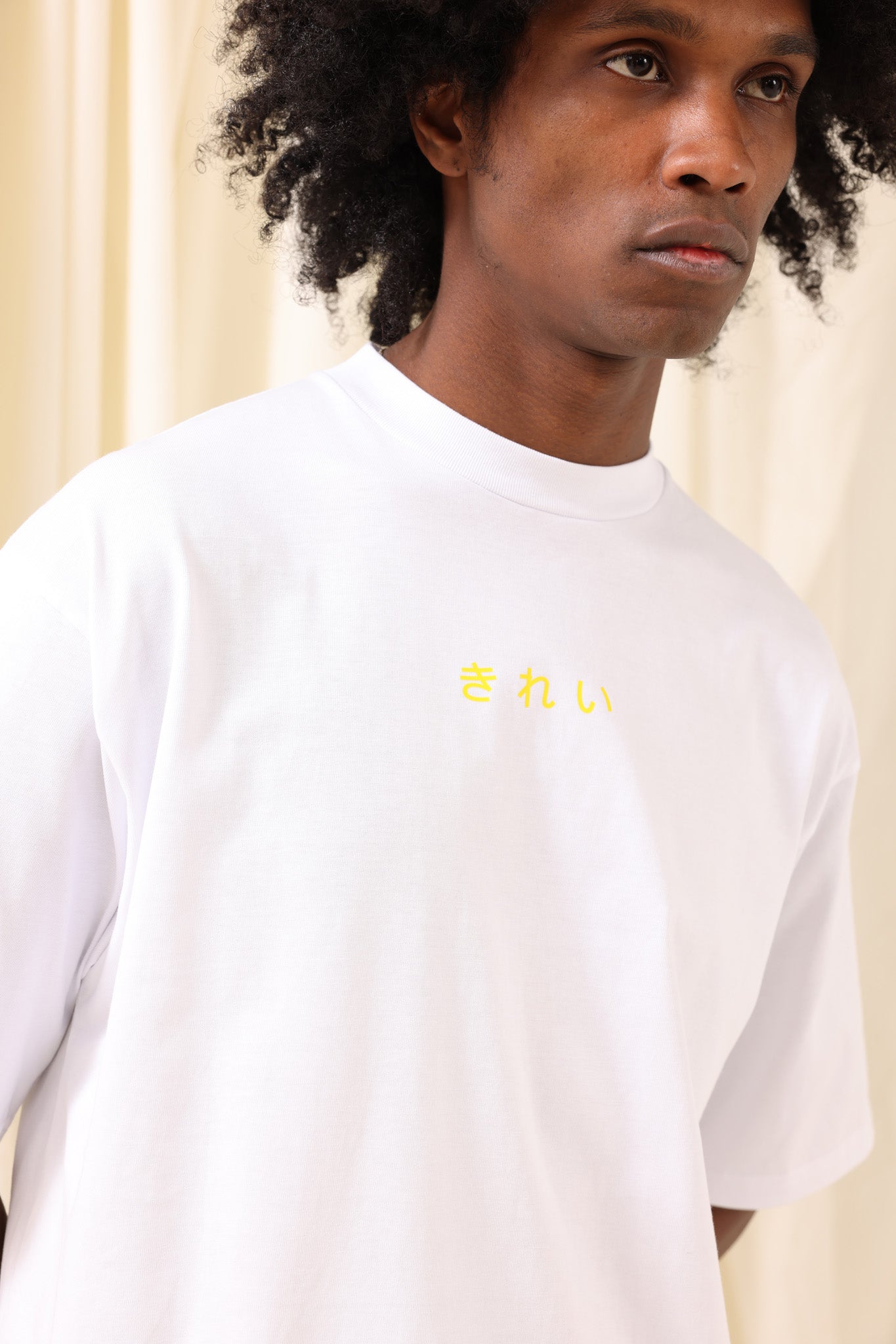 Japanese KiREi T-shirt